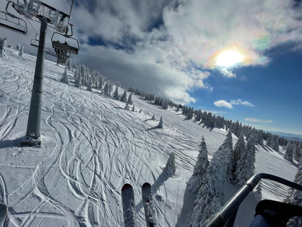 Appartamento Pano Kopaonik Panorama Esterno foto